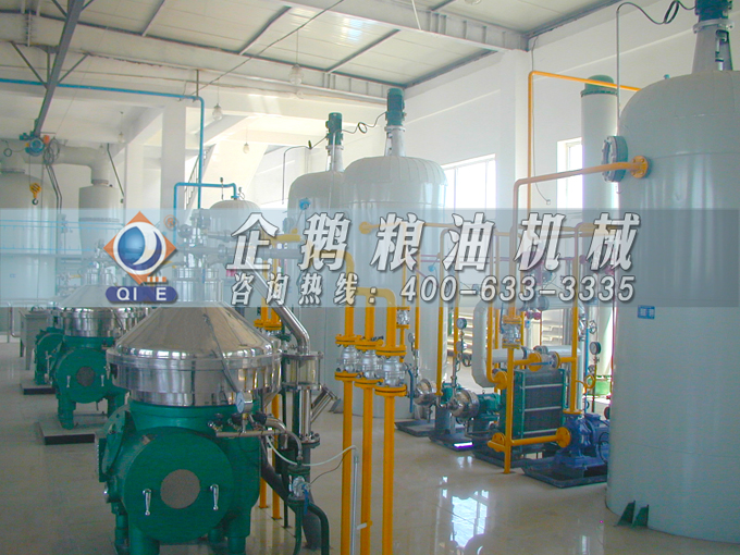 如何投資建設(shè)棕櫚油加工廠？企鵝糧油機(jī)械在線為您答疑解惑(圖2)
