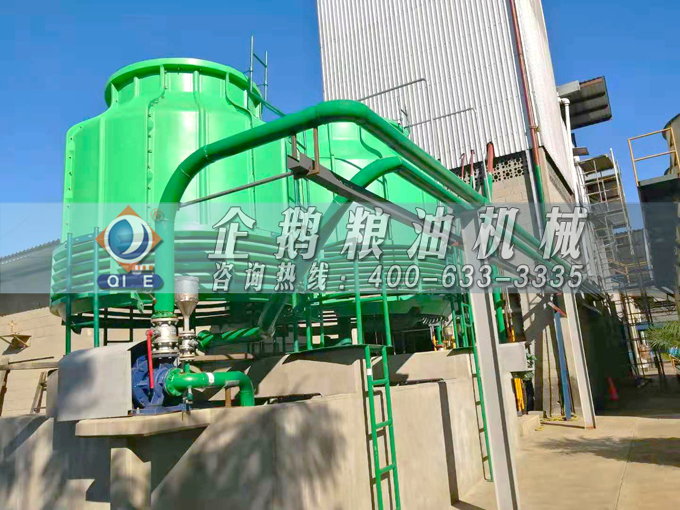 如何投資建設(shè)棕櫚油加工廠？企鵝糧油機(jī)械在線為您答疑解惑(圖3)